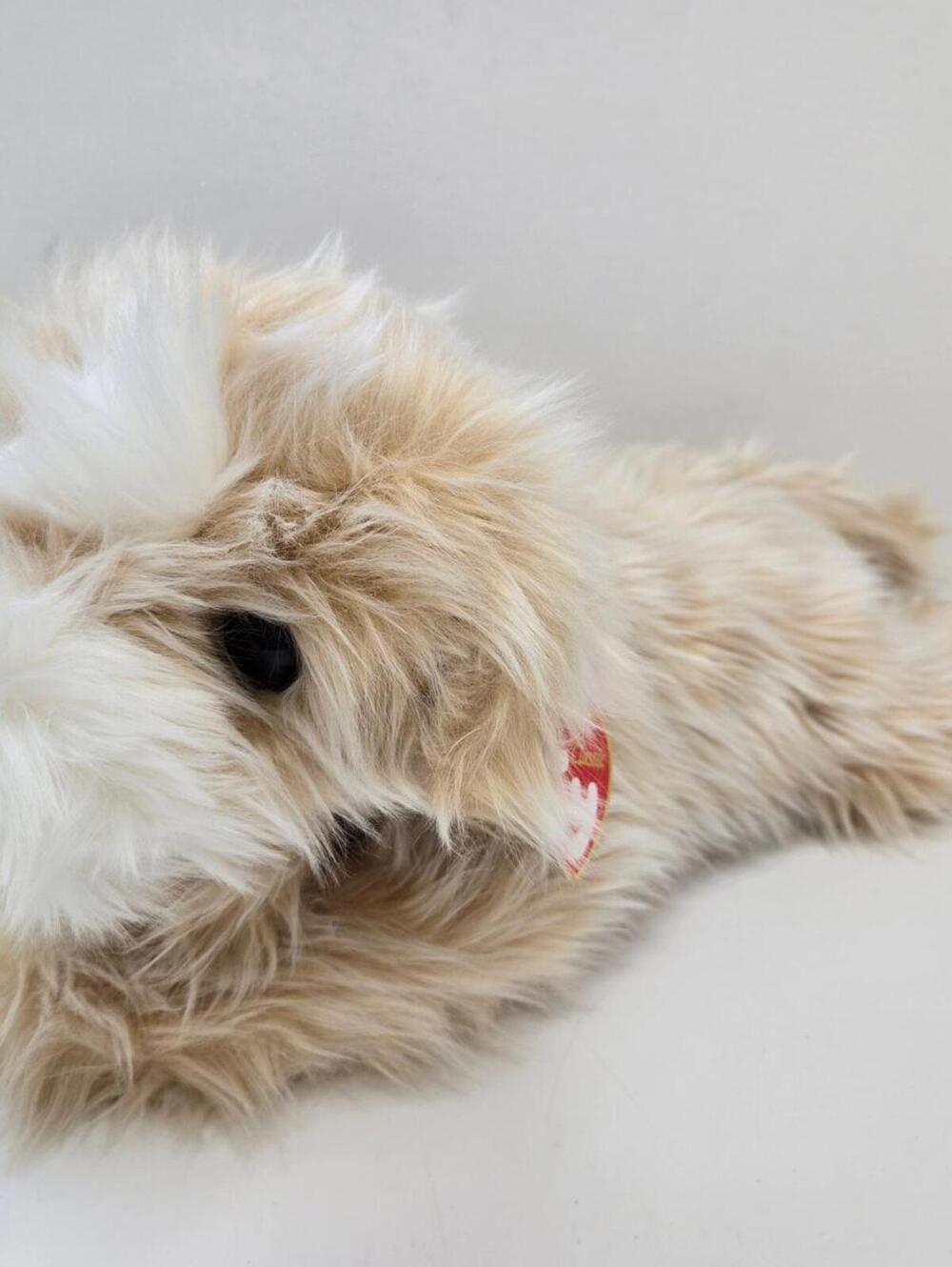 Ty Classics Collection “Jenkins” the White and Cream Fluffy Dog (12 inch)